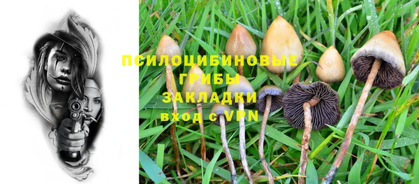 прущие грибы Алзамай