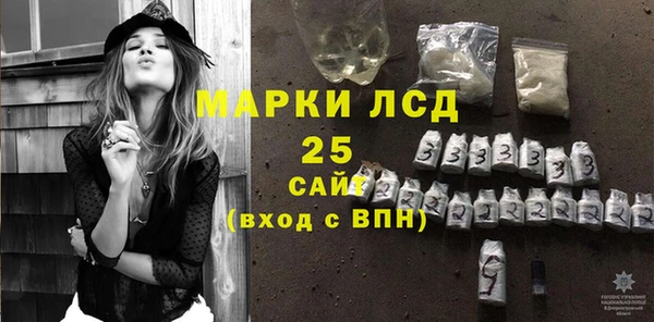 прущие грибы Алзамай
